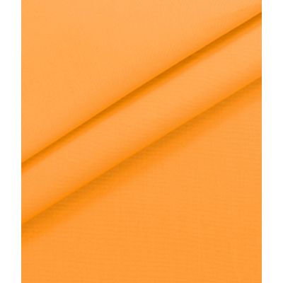 IMAGE_T