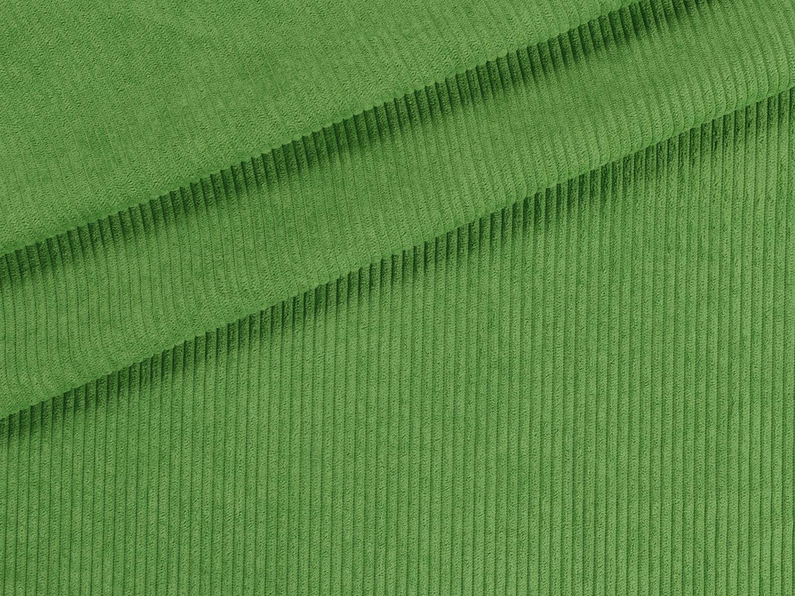 IMAGE_L
