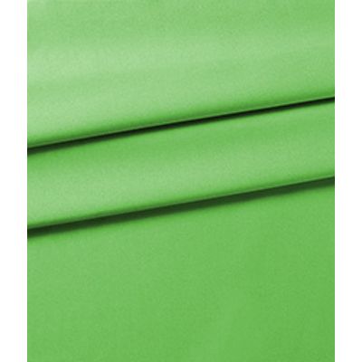 IMAGE_T