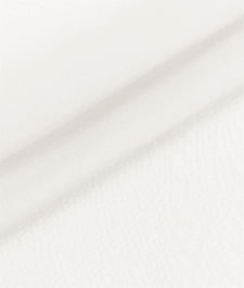 IMAGE_T
