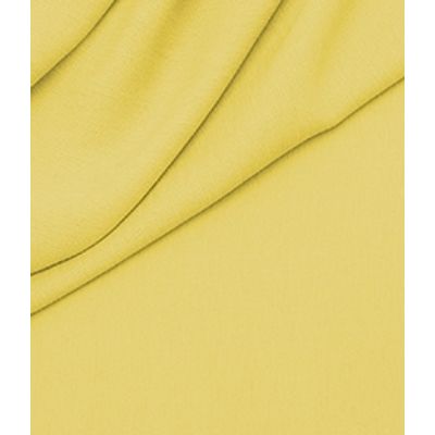 IMAGE_T