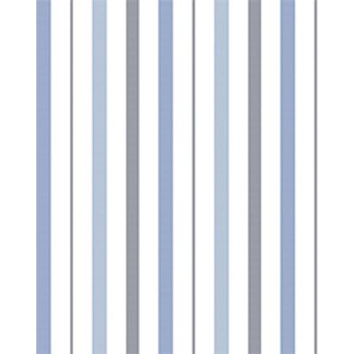 IMAGE_T