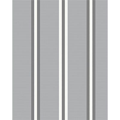 IMAGE_T