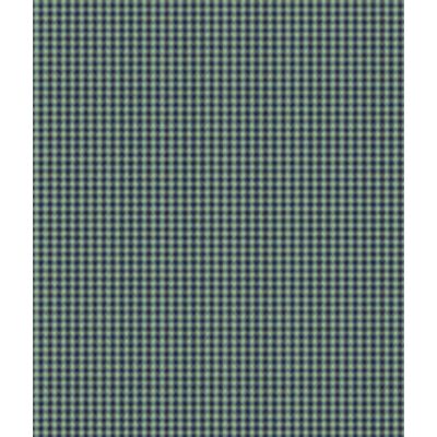 IMAGE_T