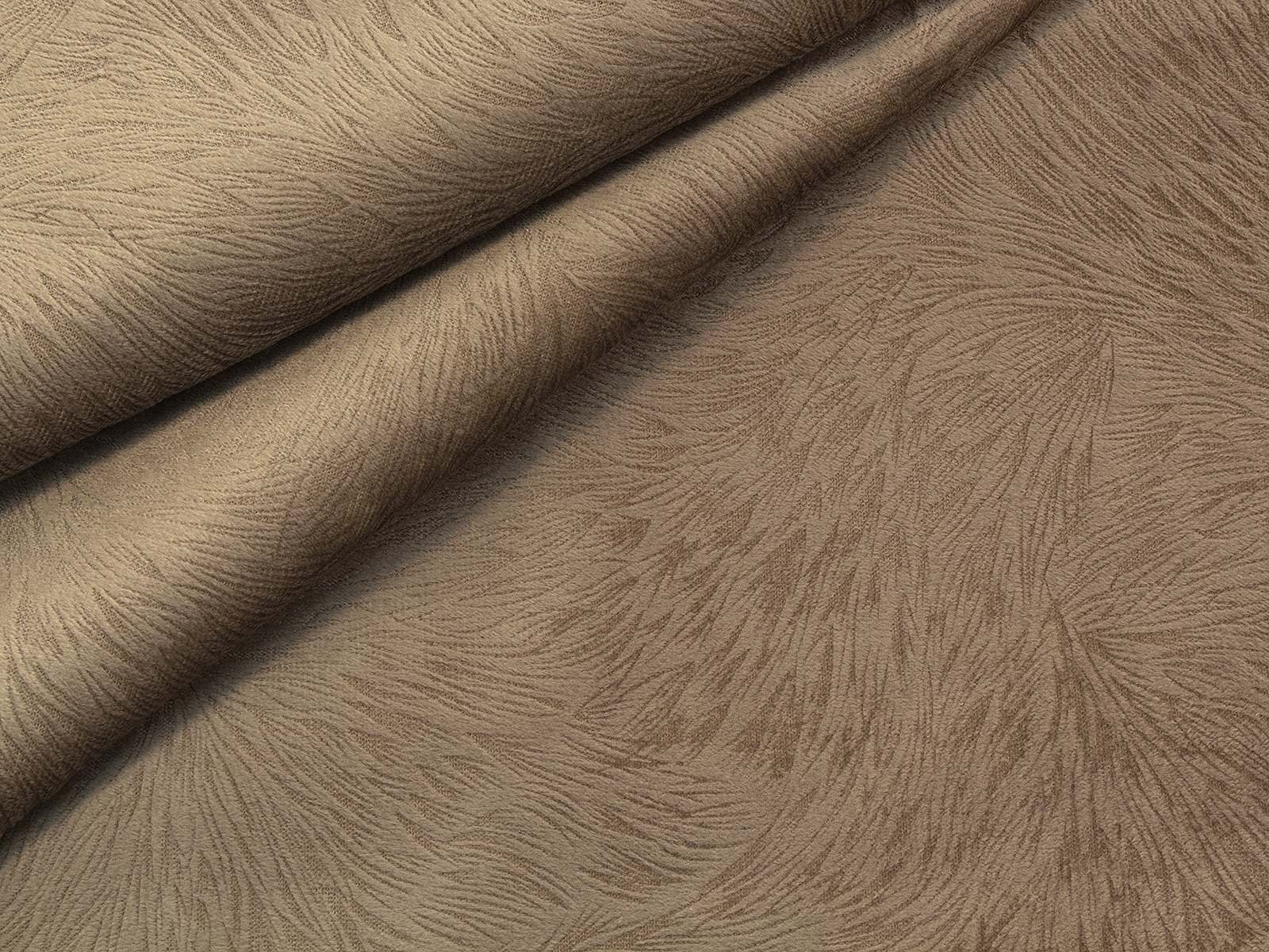 IMAGE_L