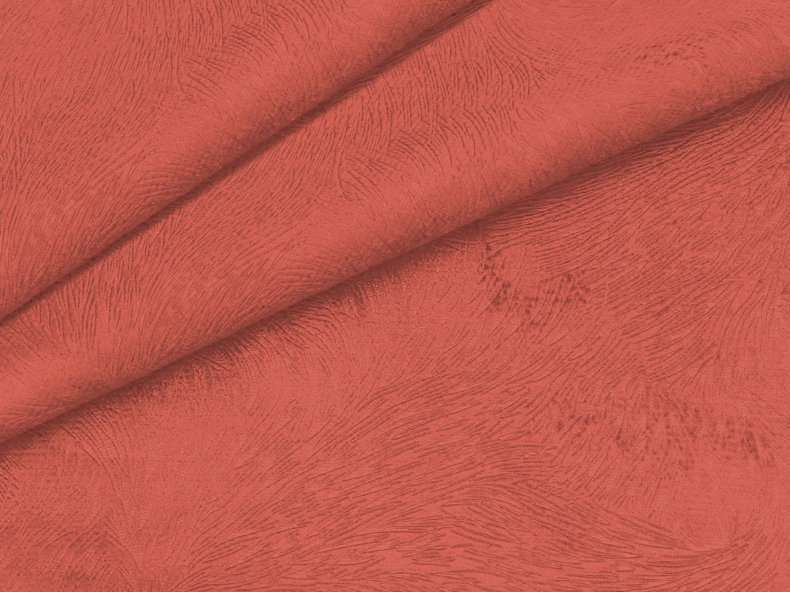IMAGE_L