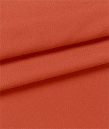 IMAGE_T