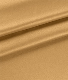 IMAGE_T
