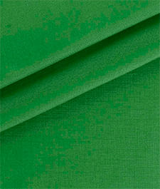 IMAGE_T