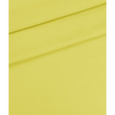 IMAGE_T