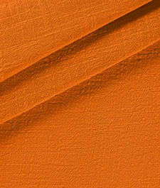 IMAGE_T