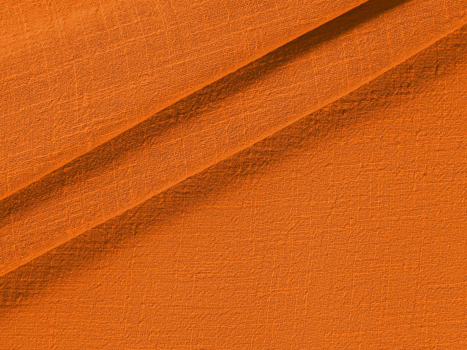 IMAGE_L