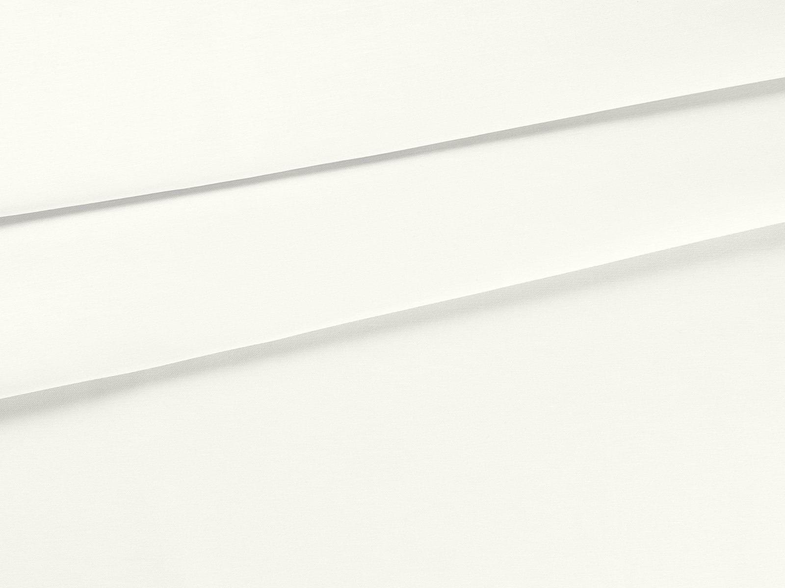 IMAGE_L