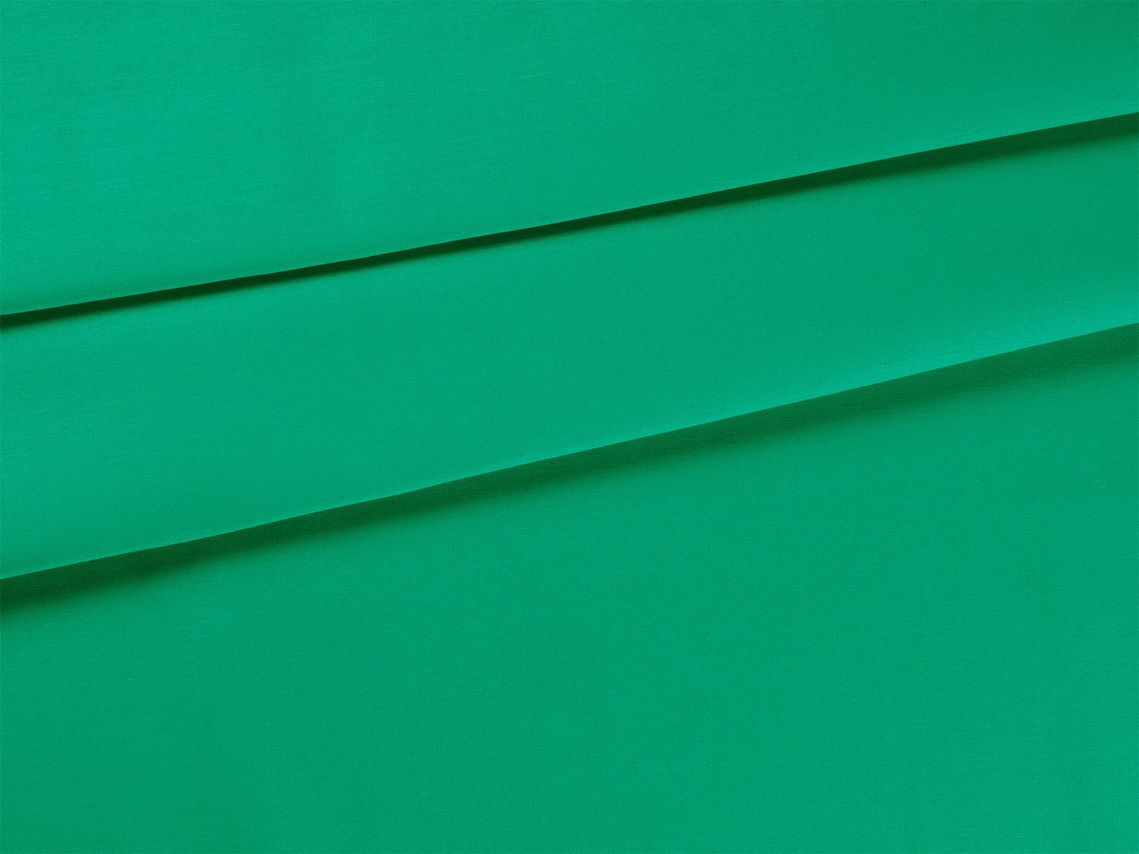 IMAGE_L