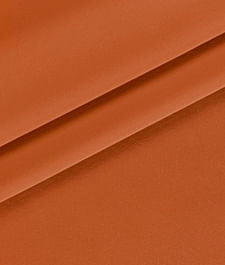 IMAGE_T