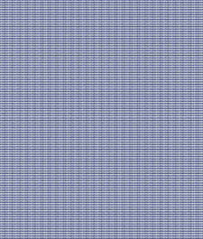 IMAGE_T