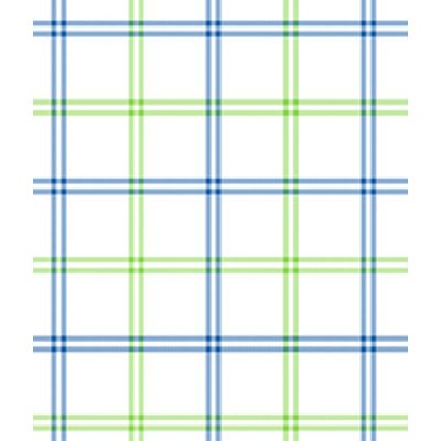 IMAGE_T