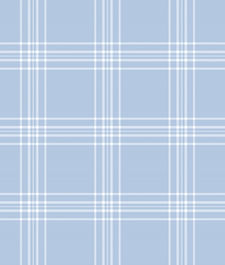 IMAGE_T