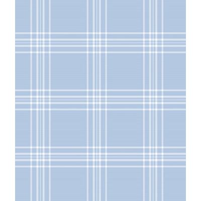 IMAGE_T