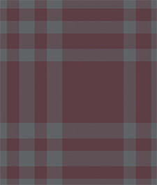 IMAGE_T