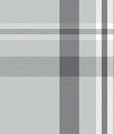 IMAGE_T