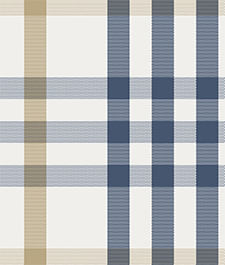 IMAGE_T