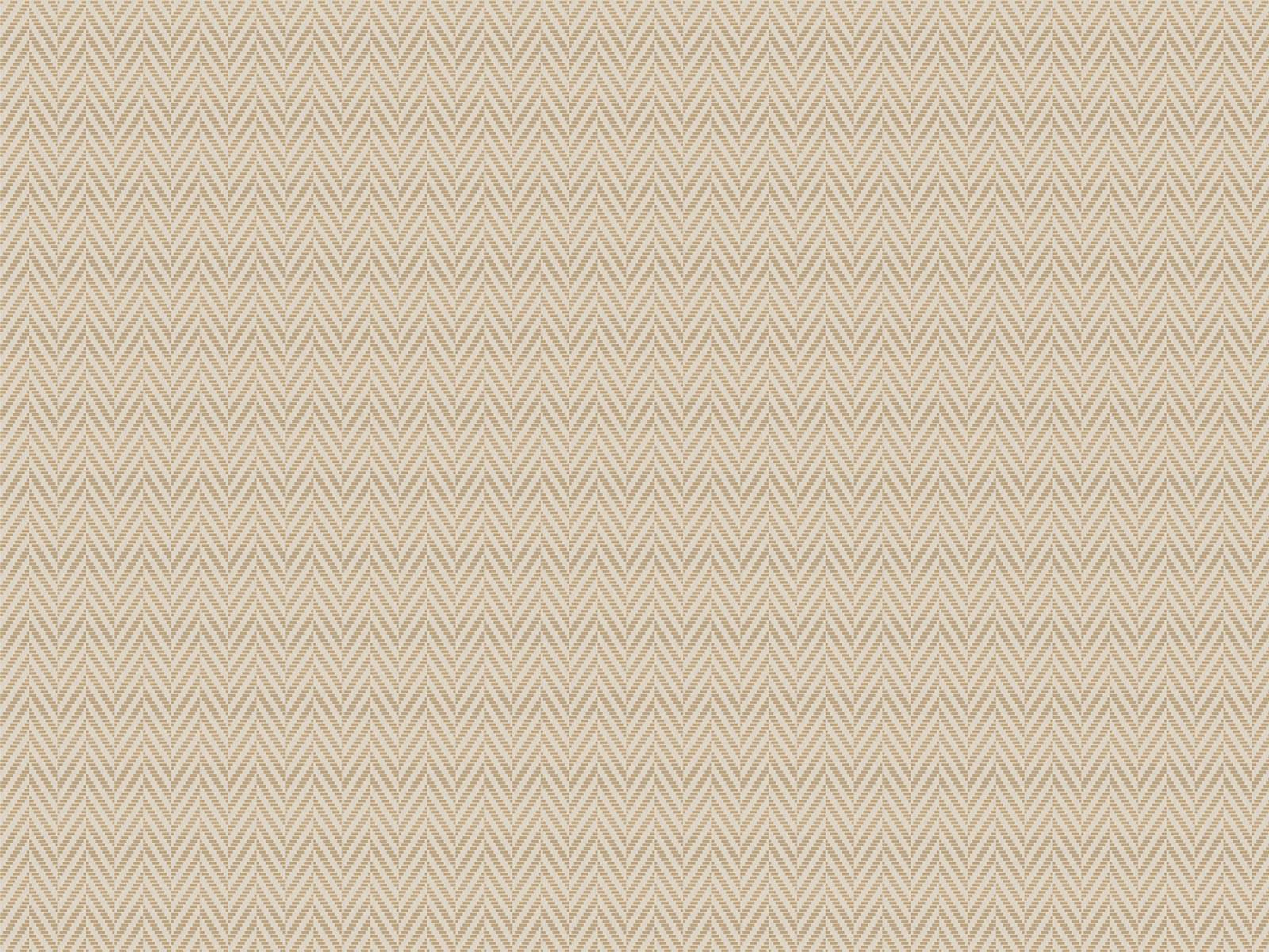 IMAGE_L