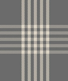 IMAGE_T