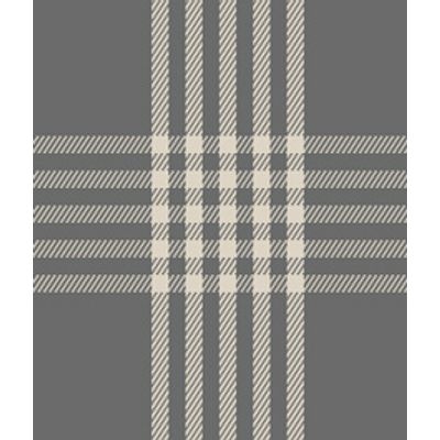 IMAGE_T