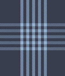 IMAGE_T