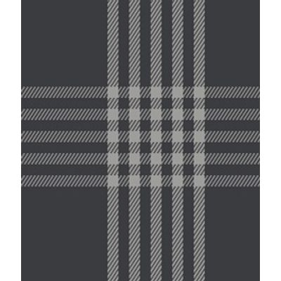 IMAGE_T