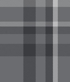 IMAGE_T