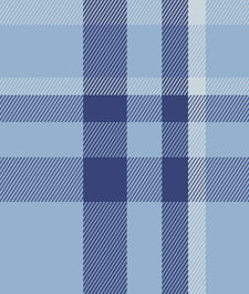 IMAGE_T