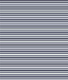 IMAGE_T