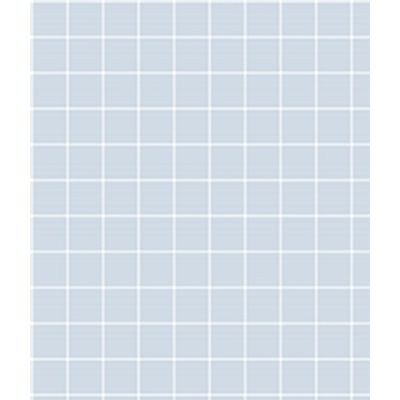 IMAGE_T