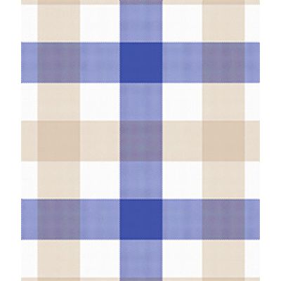IMAGE_T