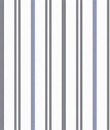 IMAGE_T