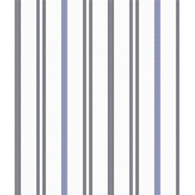 IMAGE_T
