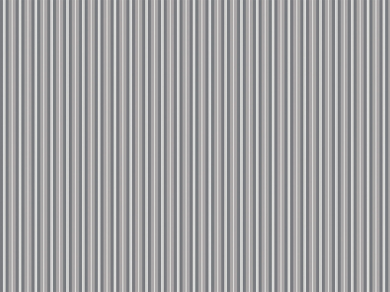 IMAGE_L