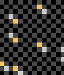 IMAGE_T