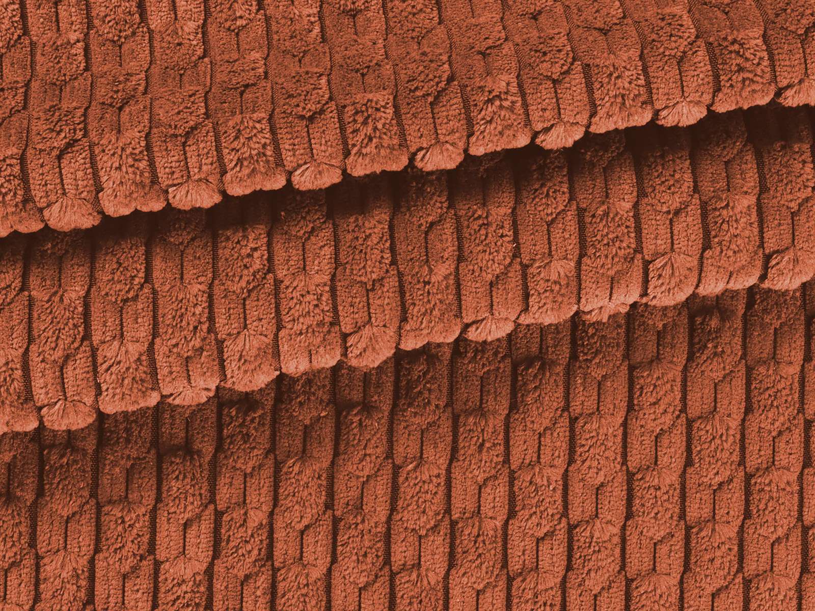 IMAGE_L
