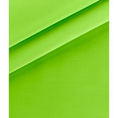IMAGE_T