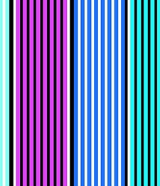 IMAGE_T
