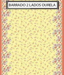 IMAGE_T