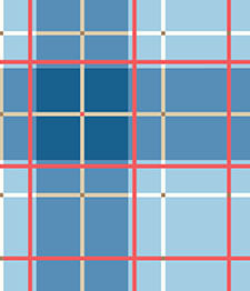 IMAGE_T