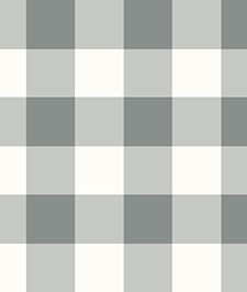 IMAGE_T