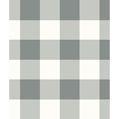 IMAGE_T