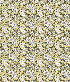 IMAGE_T