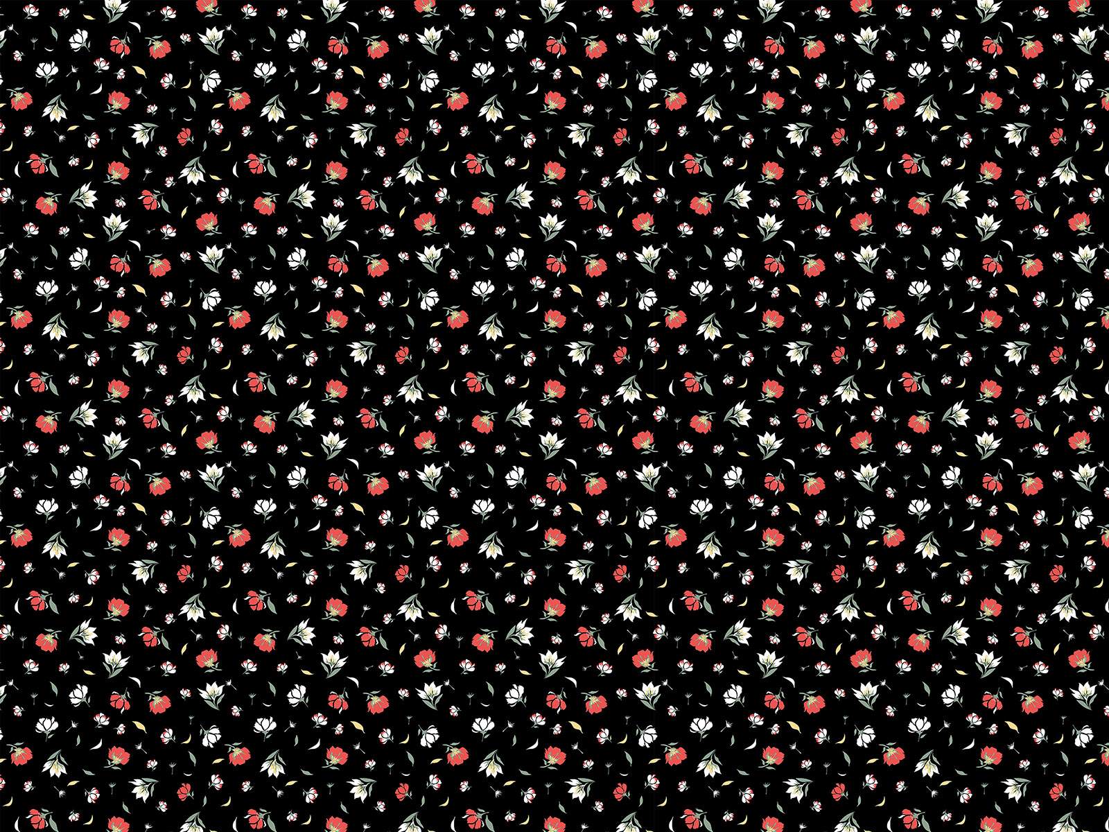 IMAGE_L