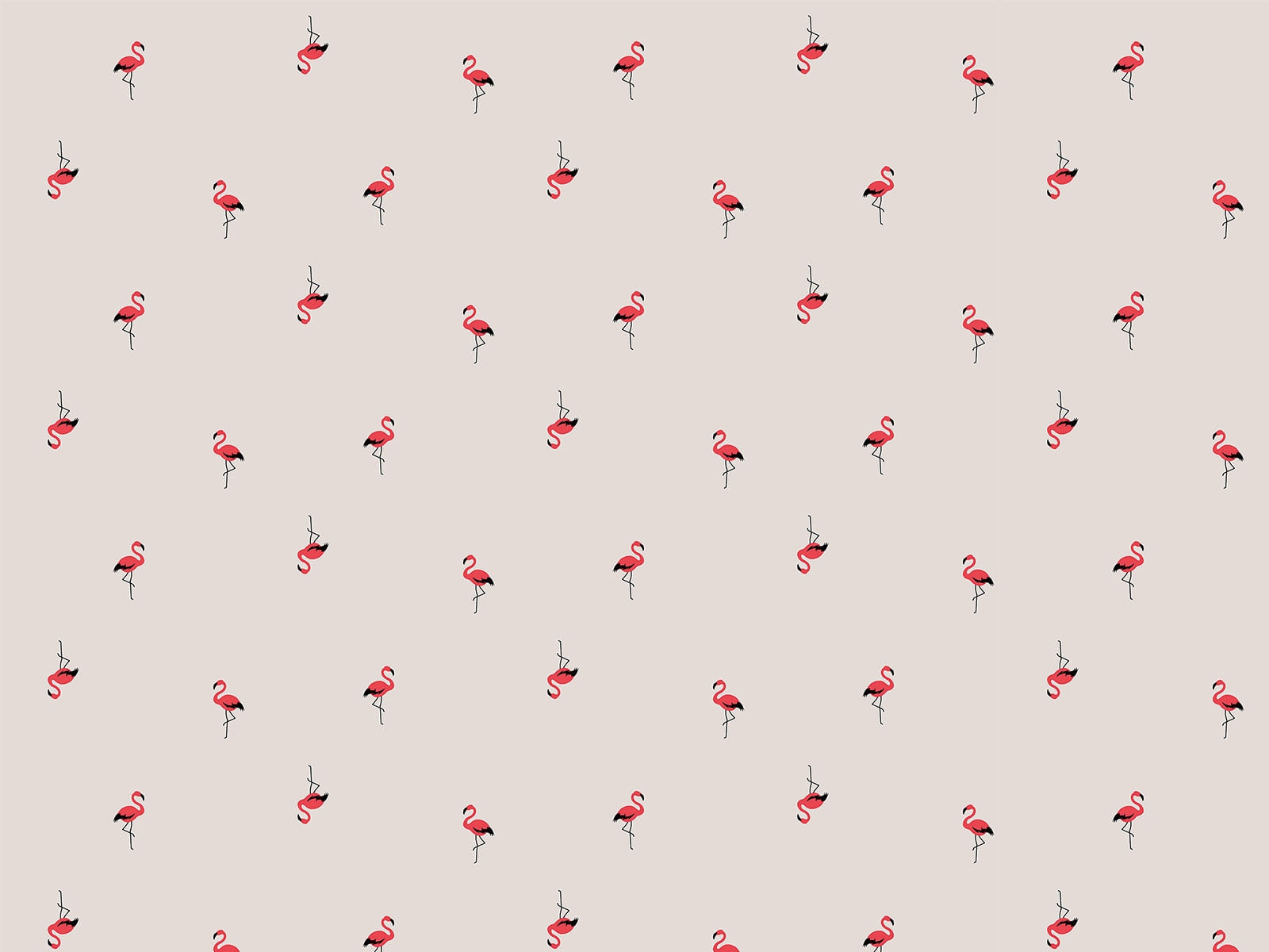IMAGE_L